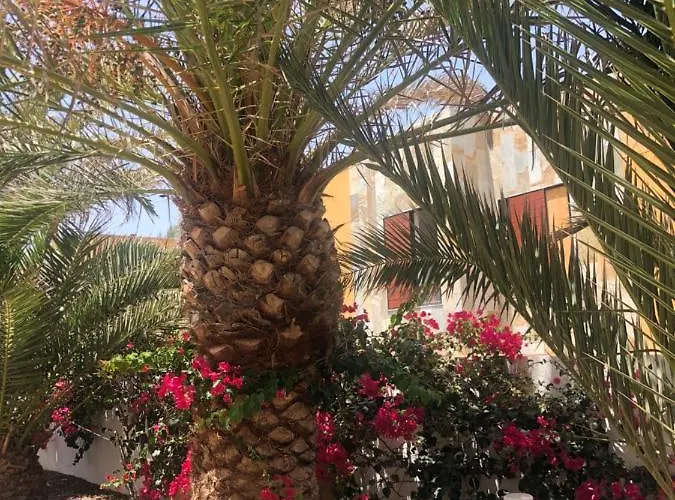 Le Soleil De Fuerteventura דירה *